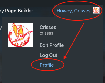 Image of the upper right of the Plurality Resource screen, with a red oval around Howdy, Crisses and an arrow pointing to a red oval around Profile at the bottom of the menu.